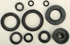 Vertex Oil Seal Set