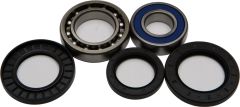 All Balls Wheel Bearing & Seal Kit