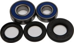 All Balls Wheel Bearing & Seal Kit