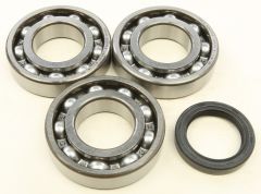 All Balls Crankshaft Bearing/seal Kit