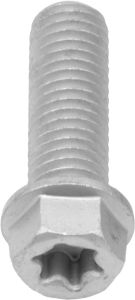 Bolt Euro Torx Flange Bolt 8x.1.25x25mm 10/pk