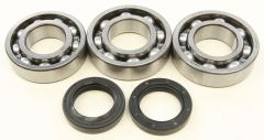 All Balls Crankshaft Bearing/seal Kit