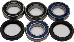 All Balls Wheel Bearing & Seal Kit