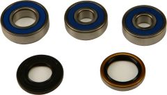 All Balls Rear Wheel Bearing Kit