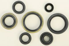 Vertex Oil Seal Set