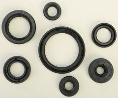 Vertex Oil Seal Set