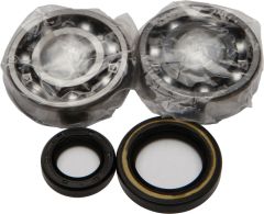 All Balls Crankshaft Bearing/seal Kit