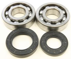 All Balls Crankshaft Bearing/seal Kit  Black/1/4" ID