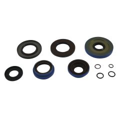 All Balls Trans Axle Seal Kit