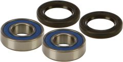 All Balls Wheel Bearing & Seal Kit