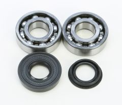 All Balls Crankshaft Bearing/seal Kit