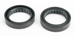 Prox Pr/fork Seals