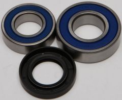 All Balls Chain Case Bearing & Seal Kit