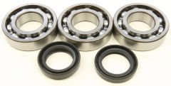 All Balls Crankshaft Bearing/seal Kit