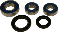 All Balls Rear Wheel Bearing/seal Kit