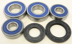 All Balls Rear Wheel Bearing Kit