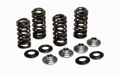 Kpmi Racing Valve Spring Kit