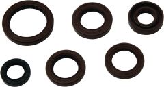 Winderosa Oil Seal Kit Yamaha  Acid Concrete