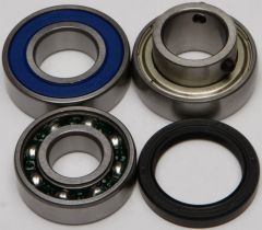 All Balls Chain Case Bearing & Seal Kit