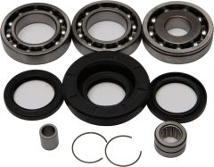 All Balls Rear Differential Bearing And Seal Kit