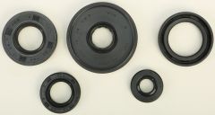 Vertex Oil Seal Set