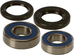 All Balls Wheel Bearing & Seal Kit