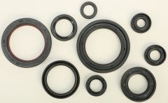 Vertex Oil Seal Set