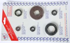 K&s Engine Oil Seal Kit