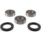 Pivot Works Rear Wheel Bearing Kit