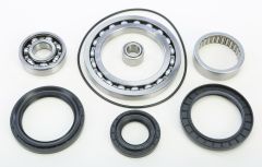 All Balls Rear Differential Bearing And Seal Kit