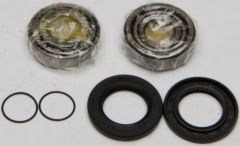 All Balls Swingarm Bearing Kit