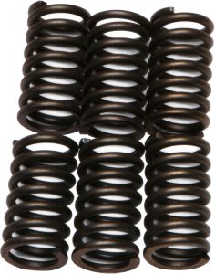 Ebc Clutch Springs