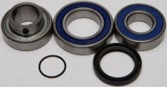 All Balls Chain Case Bearing & Seal Kit