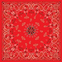 Zan Bandanna Red Paisley