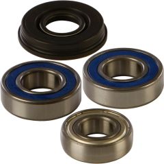 All Balls Chain Case Bearing & Seal Kit