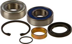 All Balls Chain Case Bearing & Seal Kit