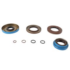 All Balls Trans Axle Seal Kit