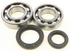 All Balls Crankshaft Bearing/seal Kit