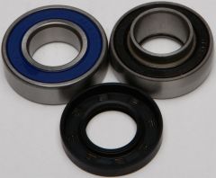 All Balls Chain Case Bearing & Seal Kit