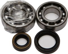 All Balls Crankshaft Bearing/seal Kit