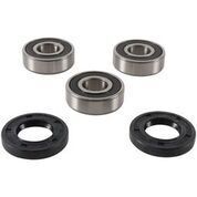 Pivot Works Rear Wheel Bearing Kit