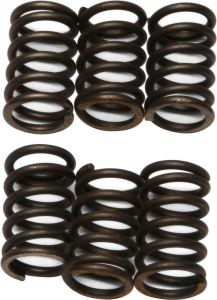 Ebc Clutch Springs