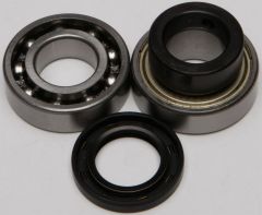 All Balls Chain Case Bearing & Seal Kit