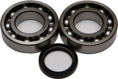 All Balls Crankshaft Bearing/seal Kit