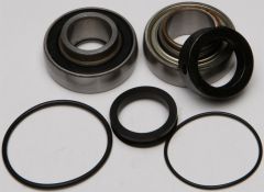 All Balls Chain Case Bearing & Seal Kit