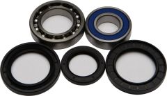 All Balls Wheel Bearing & Seal Kit