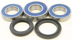 All Balls Rear Wheel Bearing Kit