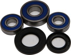 All Balls Rear Wheel Bearing/seal Kit