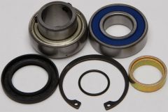 All Balls Chain Case Bearing & Seal Kit