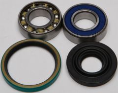 All Balls Chain Case Bearing & Seal Kit